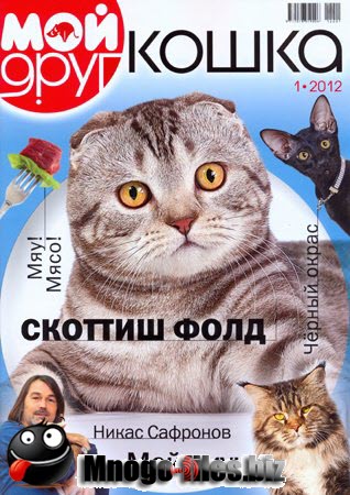 Мой друг кошка №1 2012