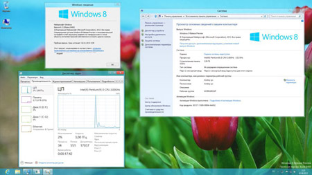 Windows 8 Release Preview 32/64-bit DVD WPI 2012 RUS