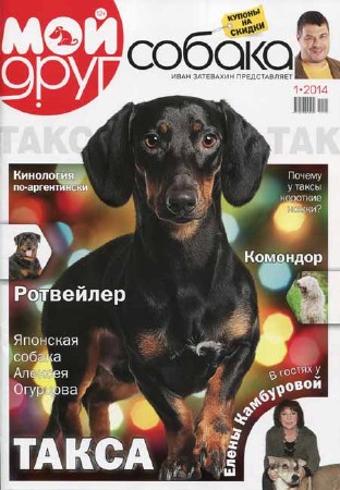 Мой друг собака №1 2014