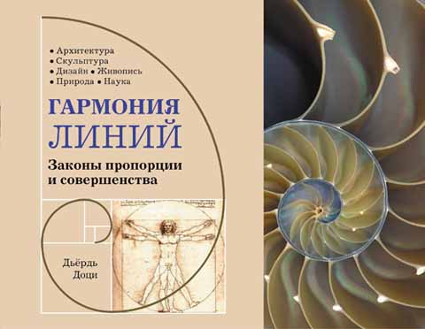 Гармония линий