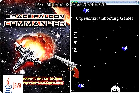 Space Falcon Commander / Космический сокол